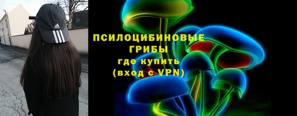МДПВ Новозыбков