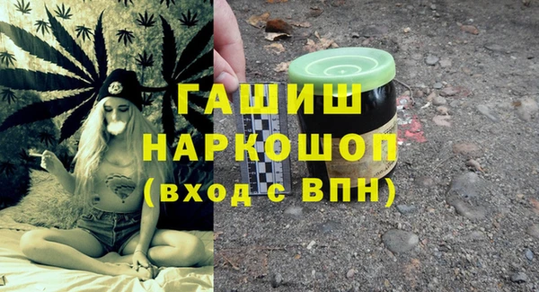 МДПВ Новозыбков