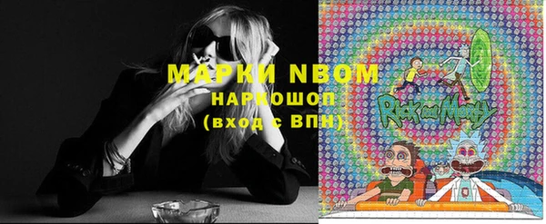 МДПВ Новозыбков