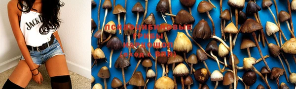 не бодяженный Новодвинск