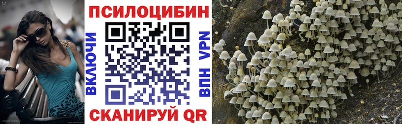 Купить  Зеленодольск  Псилоцибиновые грибы мицелий 